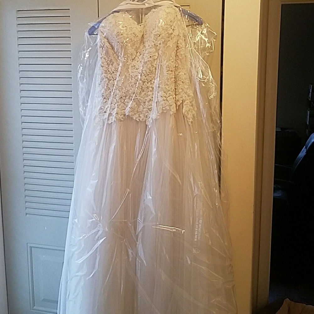 Wedding Dress - Picture 8 of 8